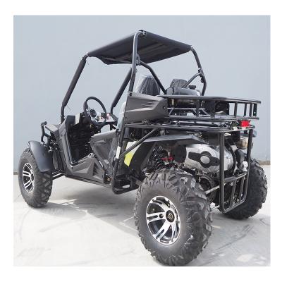 China Monster 2 Seat buggypro 200cc 4x4 SSV/go Buggy Kart 10' standard and 12' optional for sale