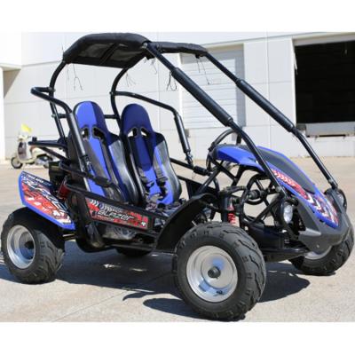 China Buggypro Go Kart Full Size Tony 2 Seaters Go Kart Buggy 150cc 200CC Trailmaster Model 145X70-6 / 145X70-6 Blazer for sale