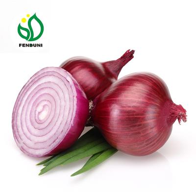 China Bulk Fresh Cheap Price Fresh Onions for sale