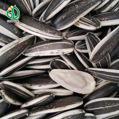 China Low Price Good Price Sunflower Seeds Fresh Sunflower Seed Kernels For Wholesale for sale