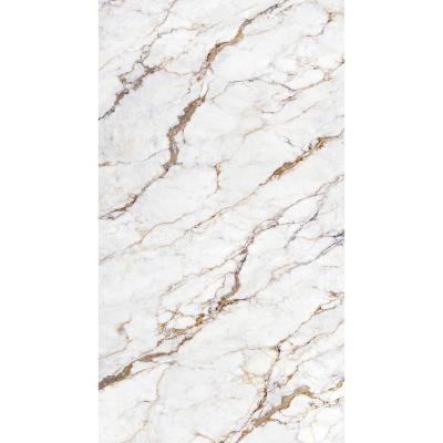 China Modern Indoor Decorative Project Tile 12MM Agglomerated Slab Shell Jade White Marble Effect Large Format Stone Wall Tile 1200*2400mm for sale