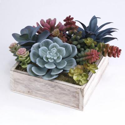 China Good Quality Home Vintage Decoration Plastic Plant Holder To Pot Wooden Faux Succulent Plants For Restaurant for sale