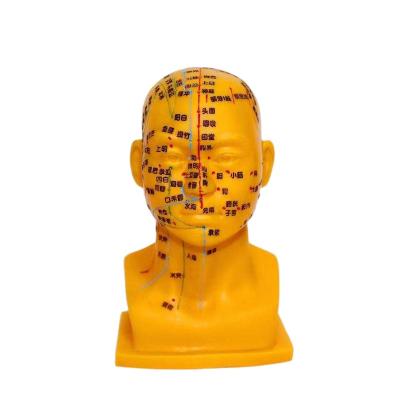 China High Quality Model TCM Acupuncture Factory Direct Selling PVC Head Practice Model for sale