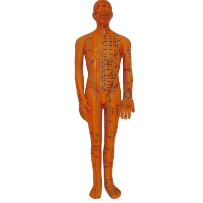 China Advanced PVC factory direct sales of PVC Chinese medicine acupuncture practice high quality male model for sale