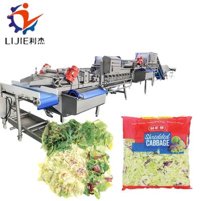 China Factory 1000 Kg Bagged Salad Leaves Processing Machine for sale