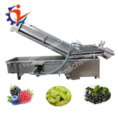 China Seal New Condition Fruit Air Bubble Washing Machine Vegetable Bubble Wash For Vegetable Fruit for sale