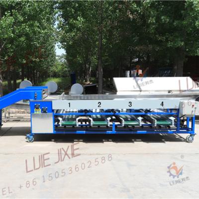 China food & Beverage Factory Automatic Orange Sweet Potato Tangerine Grading Machine For Five Size Sorter Three Grades for sale