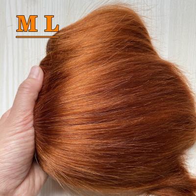 China 100% Yak Tail Hair Extensions Goat Hair Weft 9