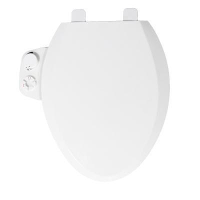 China V-Shape Electronic Multifunction Spout Bidets Self-clean Smart Toilet Seat Cover Built Bidet for sale