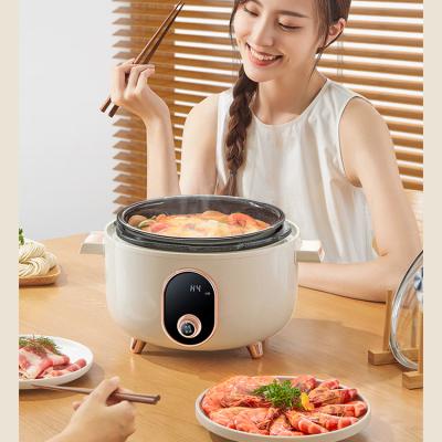 China Wholesale 2022 Hotel Detachable Electric Rice Coker Multicooker Electric Pressure Cooker Home for sale