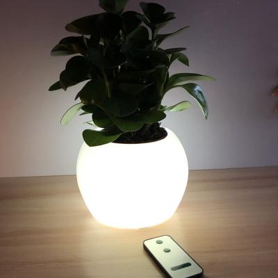 China Multi-color plastic luminescent vase lawn garden lamp remote control decoration in dimmable modern LED light can be customized for sale