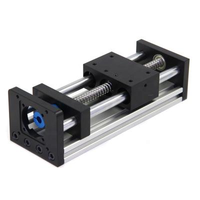 China Machinery Repairs Workshop 100mm Working Length Double Rail Way Optical Axis Ball Screw Slide Guide Linear Motion Module For Engraving for sale