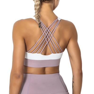 China Factory New Design Contrast Color Comfortable Bra Wholesale Yoga Breathable And Stylish Shockproof Sports Bra for sale