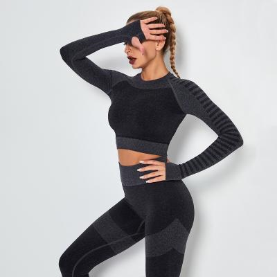 China OEM New Arrival Four Way Stretch Moisture Wicking Long Sleeve Seamless Knitted Running Fitness Tops Yoga High Elastic Wear Sports for sale