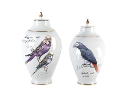 China Modern Hand Painted Decoration CLASSIC Ginger Jar Vase With Peacock Parrot from LuxuryWhite for sale