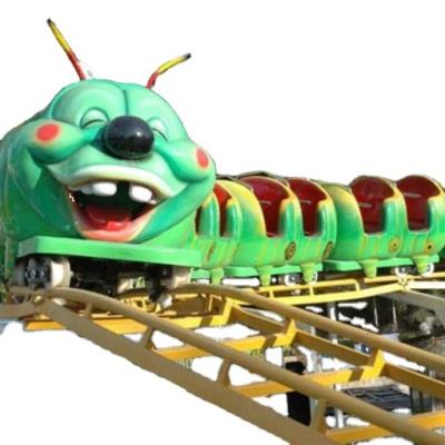 China 14*24m Factory Directly Theme Park Other Amusement Park Products Worm Pulley Coaster for sale