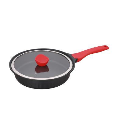 China Non Sustainable Hot Selling Die Casting Aluminum Stick Kitchen Large Egg Frying Pan Set With Lid for sale