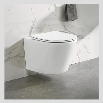 China Hidden Cistern CE Certified Ceramic Wall Hung Toilet Bowl With Rimless Design for sale