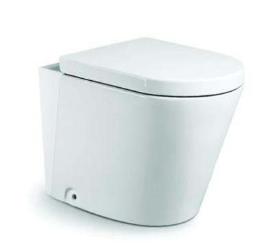 China DCBJ L2380 Double-flush Toilet Luxury Design Washroom Rimless Toilet for sale