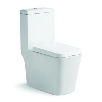 China DCBJ A8869 Double-Flow Washdown Wholesale Sanitary Ware Ceramic One Piece Toilet for sale