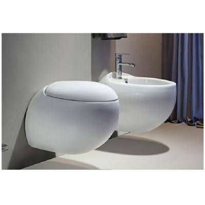 China DCBJ F2301G Female Wash Bidet Safe Floor Seat Water Jet Bidet for sale