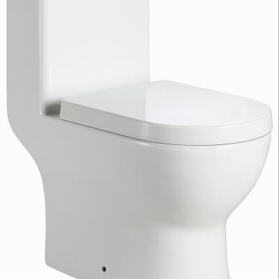 China Double-Flow Sanitaryware Bathroom Furniture Water Saving One Piece Toilet (HZ5541) for sale