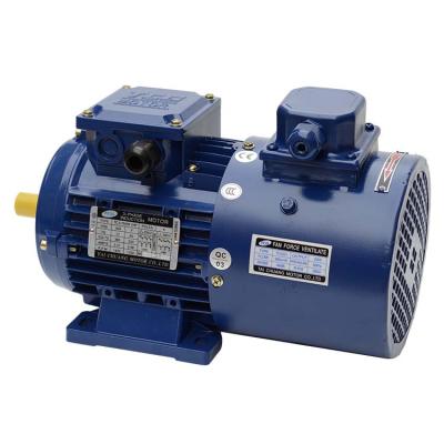 China Low Noise Insulation 3 Phase Small AC Electric Motors for sale