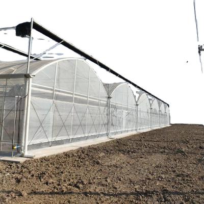 China Easily Assembled Multi Span Plastic Agricultural Greenhouse Morocco for sale