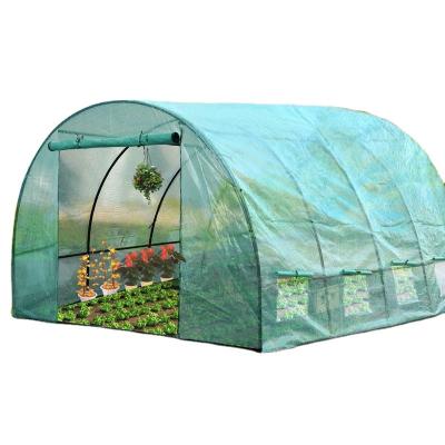 China Modern Plastic Garden Film Greenhouse For Vegetables Easy Installation Tunnel Greenhouse for sale