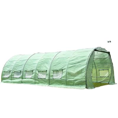 China Easily Assembled PE Poly Tunnel Garden Walk In Greenhouse With Green Cover For Sale for sale