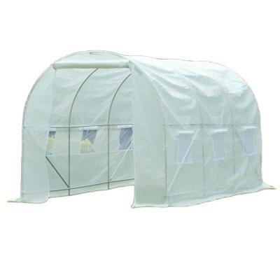 China Easily Assembled Walk In Tunnel Poly Garden Small Greenhouse Greenhouse Easily for sale