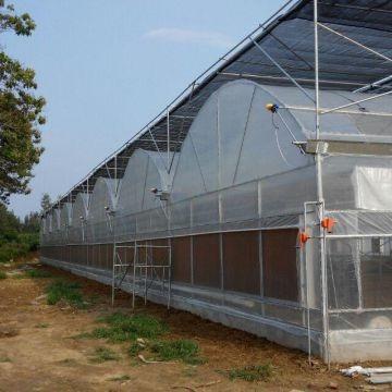 China Stable Structure Easily Assembled Multi-span Commercial Greenhouse Tunnel Polytunnel Greenhouse For Agricultural for sale