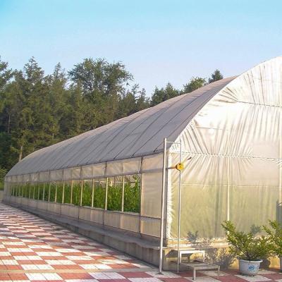 China Stable Structure Easily Assembled New Design Mills Agricultural Tunnel Greenhouse With Great Price for sale