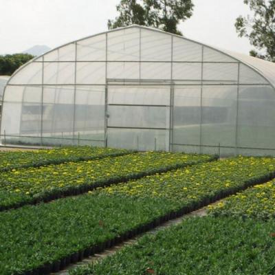 China Stable Structure Easily Assembled Multifunctional Agricultural Greenhouse Tunnel For Wholesales for sale