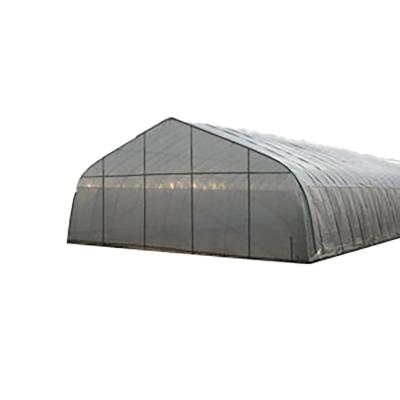 China Stable Structure Easily Assembled Commercial Plastic Single Span Greenhouse Tunnel Used For Agriculture for sale