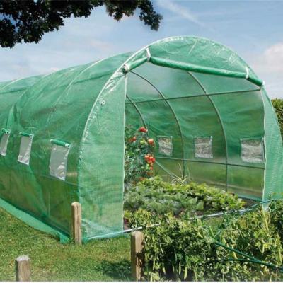 China Easily Assembled Plastic Greenhouse Hydroponic Systems Garden House Made In China for sale