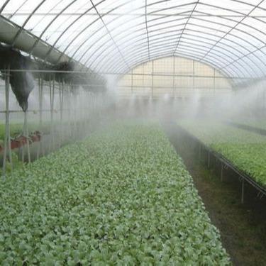 China Commercial Agriculture Greenhouse Cooling Spray And Low Price With Tarnishing System for sale