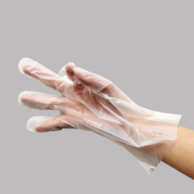 China Eco-Friendly For Sales Factory High Quality 100% Biodegradable And Compostable Plastic Disposable Gloves Powder Free Customized Packing for sale