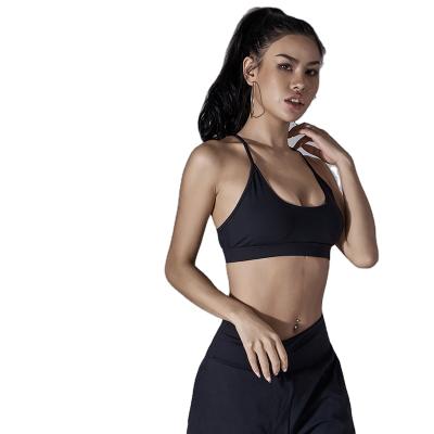 China FREE SAMPLE QUICK DRY Logo Black Seamless Gym Wear Customer Sports Seamless Biker Fitness Yoga Bra for sale