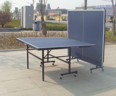 China commercial table tennis ping pong table TE-12 for sale