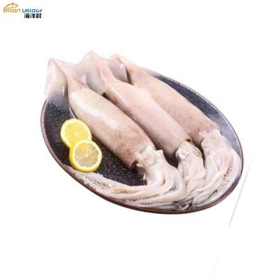 China Nutritious Superior High Quality Whole Frozen Squid Whole Food Village Shandong Ocean Village Price Seafood Supplier for sale