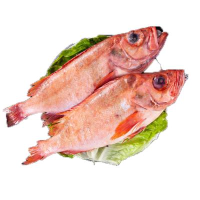 China Low Fat Village Ocean Shandong New Zealand Frozen Sea Bass Food Coupons On Sale for sale