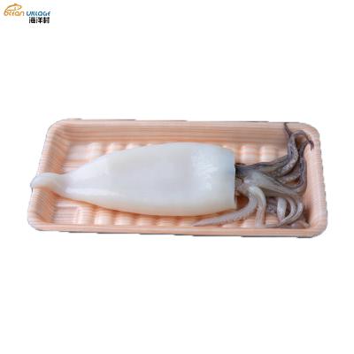 China Shandong Ocean Village Nutritious Food 2021 Style Calamari T+Tentacle Squid New Frozen T+T Squid Tube+Tentacle Manufacturers for sale