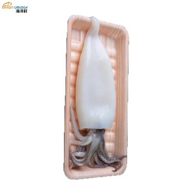 China Shandong Ocean Village Nutritious New Food Season T+T Stuffed Squid Tube+Tentacle High Quality Stuffed Squid Tube+Tentacle 30% T+T for sale