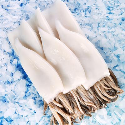 China High Quality Frozen Village Nutritious Food Ocean Shandong Seafood Product Illex T+T Squid Tube+Tentacle T+T Squid Price for sale