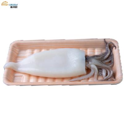 China Shandong Ocean Nutritious Food Food Village Hot Sale 20% T+T Calamari T+T Icing Squid Tube+Tentacle for sale