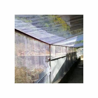 China Wholesale Best Fruit Bird Netting HDPE Customization Manufacturing Selling Garden Protection Agricultural Supplies Can Be Customized for sale