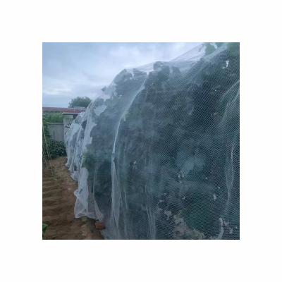 China Protect Crops From Hail Wholesale Customized Netting Plant Protection Anti Hail Net HDPE Apple Tree Hail Net for sale