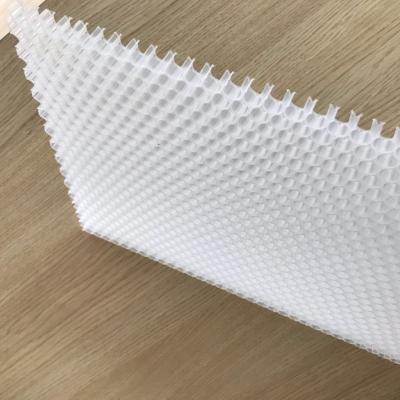 China Plastic Air Filter Purifier PP Honeycomb Core Panels Used In Air Filter Purifier Activated Carbon Filter for sale