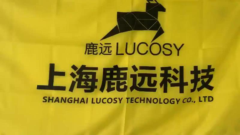 Verified China supplier - Shanghai Lucosy Technology Co., Ltd.